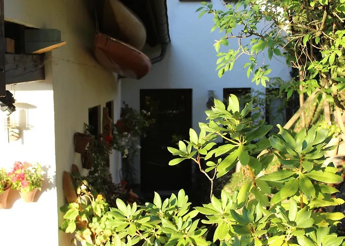 Familie Schaefer Schmallenberg